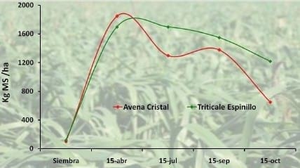 Claves del manejo de triticale - Image 2