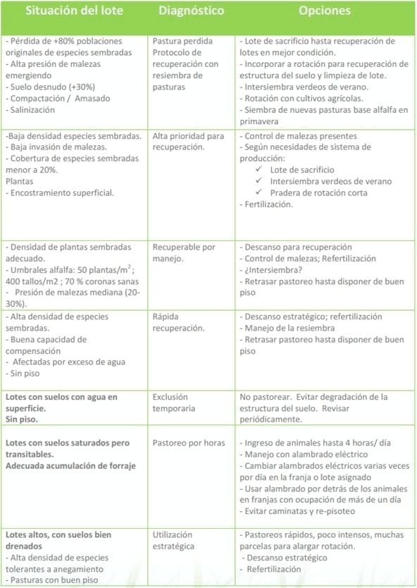 Efecto de las inundaciones sobre las pasturas. Alternativas de manejo - Image 1