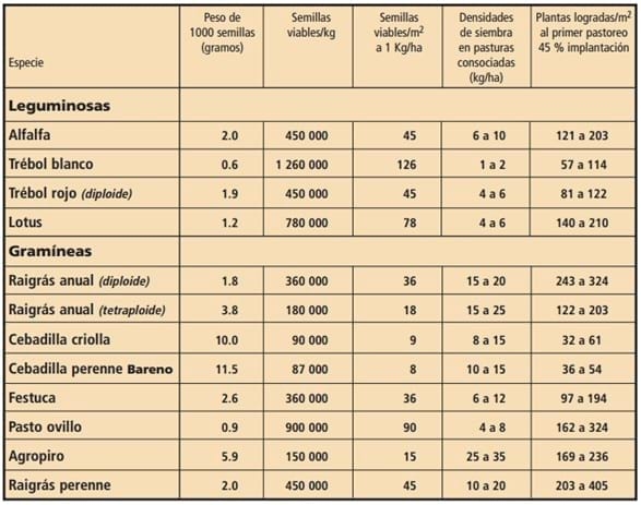 Densidades de siembra e implantación de pasturas - Image 2