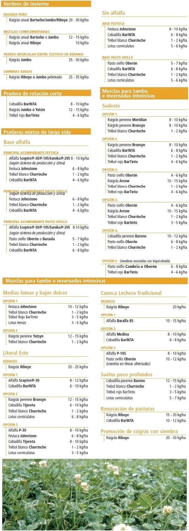 Mezclas sugeridas - Image 1