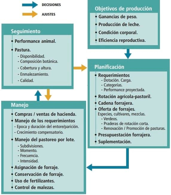 Estrategias de Manejo en Sistemas Pastoriles - Image 1