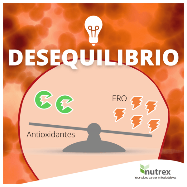 ¿Qué es el Estrés Oxidativo? ¡Es como la corrosión para las células de tu animal! - Image 1