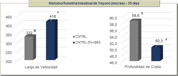 Evaluación del desempeño productivo e histomorfometría intestinal de pollos alimentados con dieta de baja energía-proteína y butirato de sodio bajo condiciones de desafío coccidial y cama reutilizada - Image 4