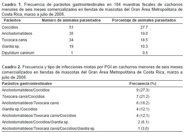 Parásitos gastrointestinales en caninos menores de seis meses comercializados en tiendas de mascotas de la Gran Área Metropolitana de Costa Rica* - Image 1