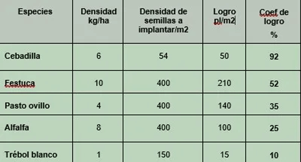 Coeficiente de logro de diferentes especies forrajeras sembradas en siembra directa. Barrow 2004.