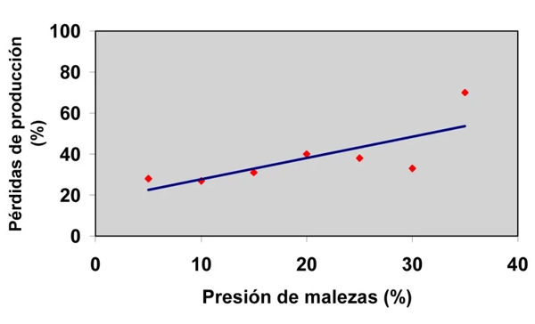 Efecto de la presión de malezas expresadas como cobertura porcentual de suelo sobre la producción de materia seca en el primer año de la pastura