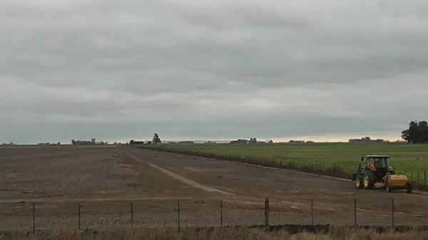 Lote en proceso de nivelación post-cosecha de cultivos de grano estivales pre siembra de pasturas en primavera.