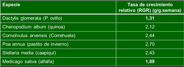 Tasas de crecimiento relativo de lagunas especies de malezas en comparación con alfalfa y pasto ovillo.