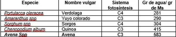 Requerimientos de agua de diferentes malezas comparativamente con una especie cultivada para producir materia seca.