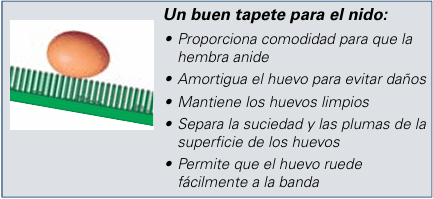 Entendiendo el Comportamiento del uso de los Nidos: Manejo para que las ponedoras pongan menos huevos en el piso - Image 16