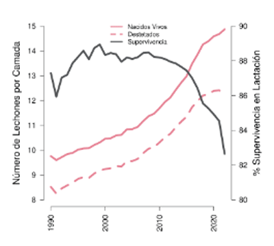 Figura 6. Evolución de la prolificidad y la supervivencia de los lechones en lactación