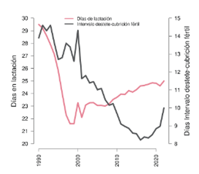Figura 4: Evolución de los días de lactación y el intervalo cubrición fértil