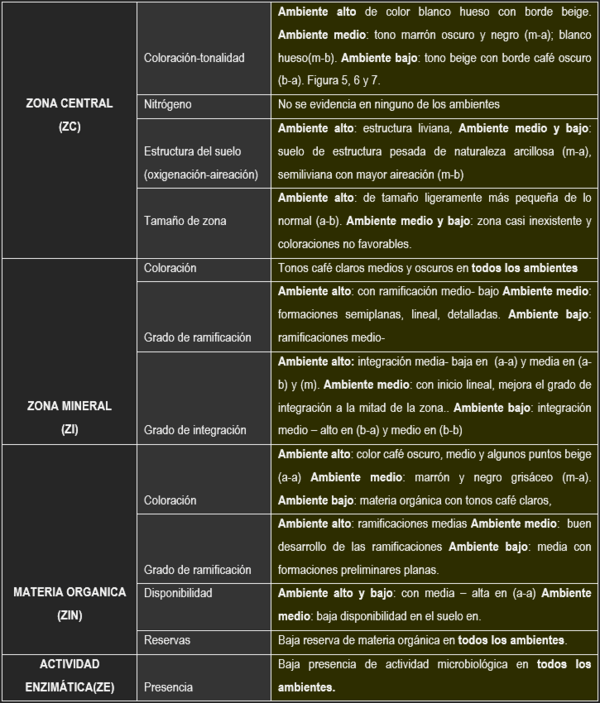 Las cromatografias herramienta de diagnostico de la calidad del suelo - Image 7