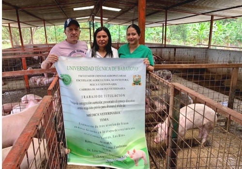 Evaluación de tres niveles de fitasa en dietas de cerdo en la etapa de crecimiento - Image 2