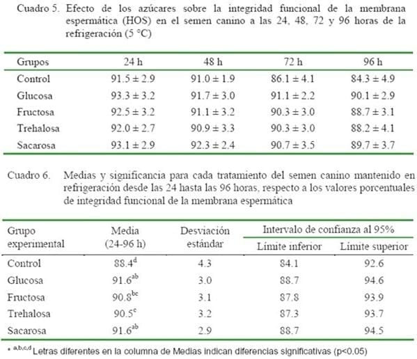 Refrigeración de semen canino utilizando glucosa, fructosa, trehalosa o sacarosa para prolongar la supervivencia espermática - Image 6