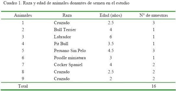 Refrigeración de semen canino utilizando glucosa, fructosa, trehalosa o sacarosa para prolongar la supervivencia espermática - Image 1