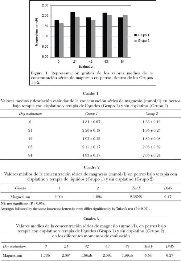 Niveles séricos de magnesio en perros sanos sometidos a la administración de cisplatino con terapia de líquidos - Image 1