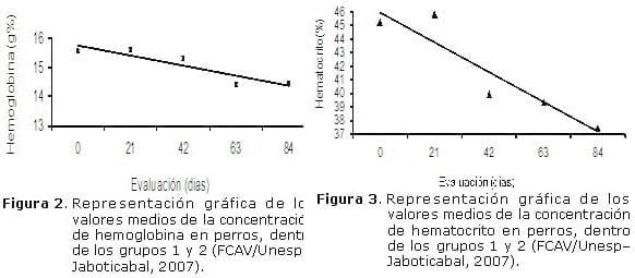 Evaluación del hemograma en caninos sanos sometidos a la administracion de cisplatina - Image 3