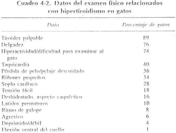 Hipertiroidismo Felino (Parte I) - Image 3