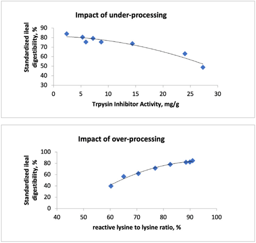 Figura 1: Impacto del subproceso y sobre procesado de la soja integral (full-fat) sobre la digestibilidad de lisina en pollos de engorde. - impacto del subprocesamientoinfrautilización/digestibilidad ileal estandardizada, %/actividad inhibidora de la tripsina, mg/g - impacto del tratamiento excesivo/ digestibilidad ileal estandardizada, %/ relación reactiva lisina/lisina