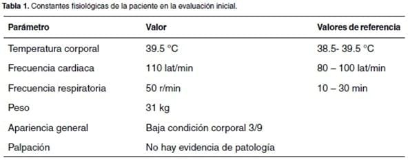 Uveítis y glaucoma asociados a infección por Hepatozoon canis: reporte de un caso - Image 1