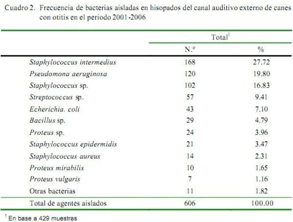Aislamiento bacteriano en casos de otitis canina y su susceptibilidad antibiótica - Image 2