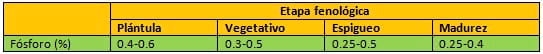 Fertilización fosfórica en maíz - Image 6