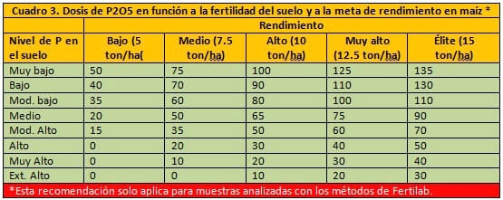 Fertilización fosfórica en maíz - Image 4