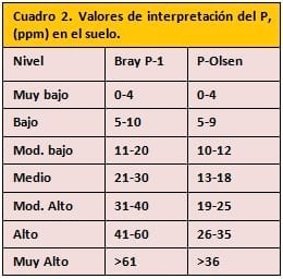 Fertilización fosfórica en maíz - Image 3