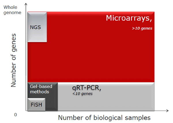 Aplicación de la Nutrigenómica para obtener Mayor Rendimiento y Ganancias en la Producción Animal - Image 1