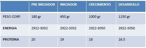 Nutrición y Manejo de Reproductoras Livianas - Image 7
