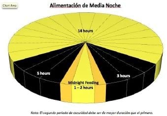 Nutrición y Manejo de Reproductoras Livianas - Image 14