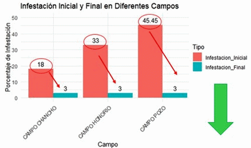 Control de Roedores en la Agroindustria: Estrategias y Resultados ...