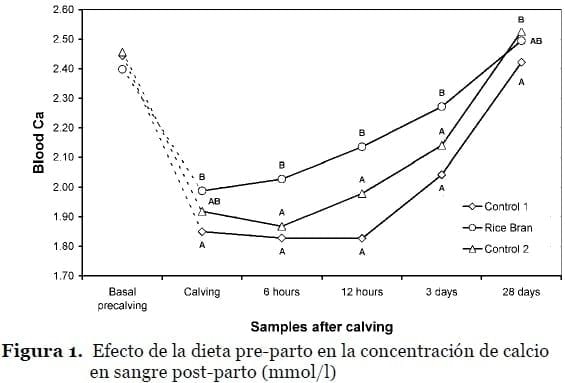 Hipocalcemia: nuevas alternativas de prevención mediante la alimentación - Image 1