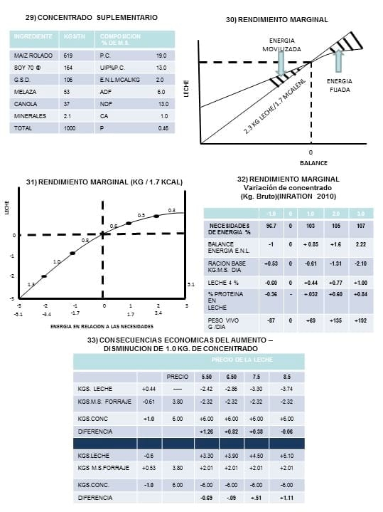 Disminución de costos de alimentación en raciones a base de ensilaje de maíz - Image 13