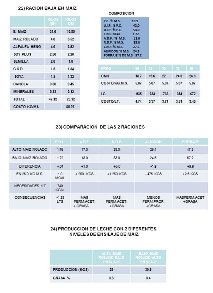 Disminución de costos de alimentación en raciones a base de ensilaje de maíz - Image 9