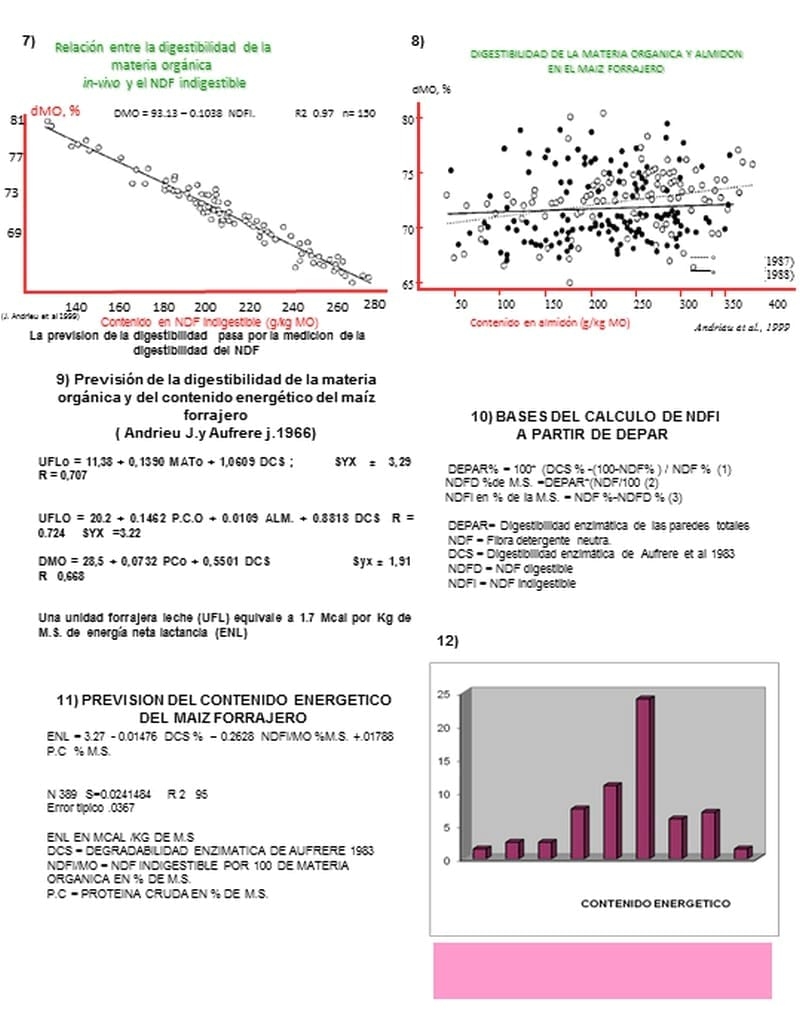 Disminución de costos de alimentación en raciones a base de ensilaje de maíz - Image 3