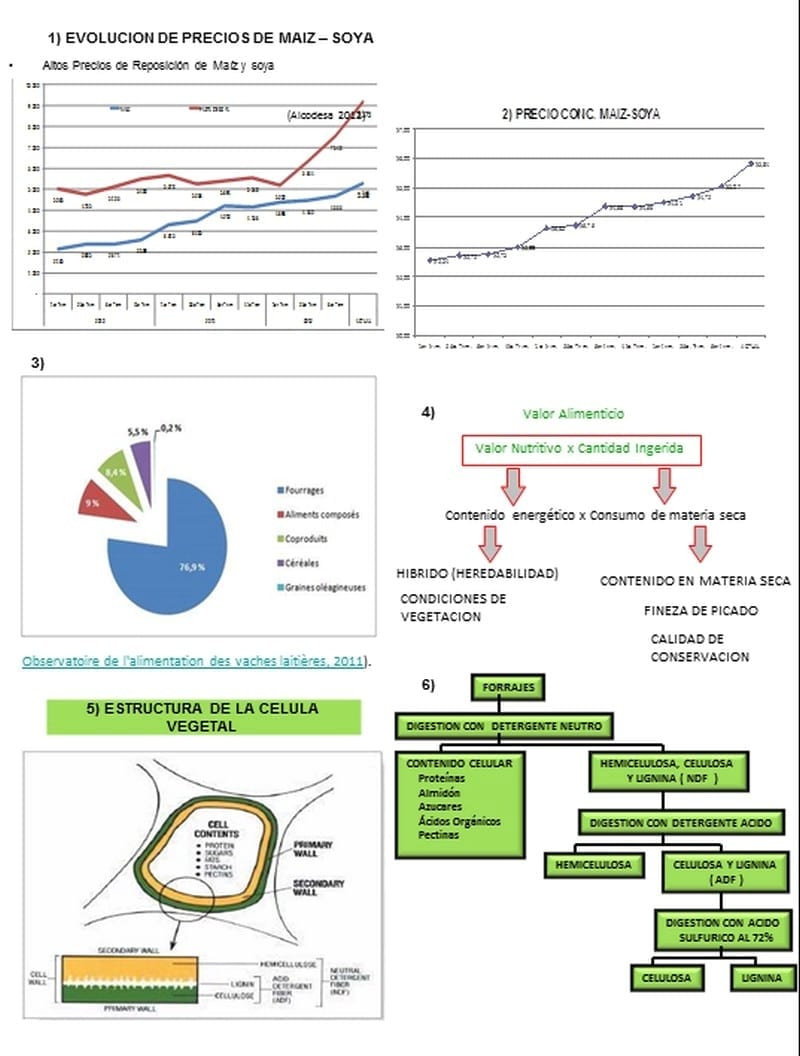 Disminución de costos de alimentación en raciones a base de ensilaje de maíz - Image 1