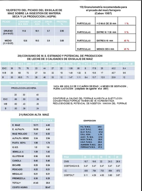 Disminución de costos de alimentación en raciones a base de ensilaje de maíz - Image 7