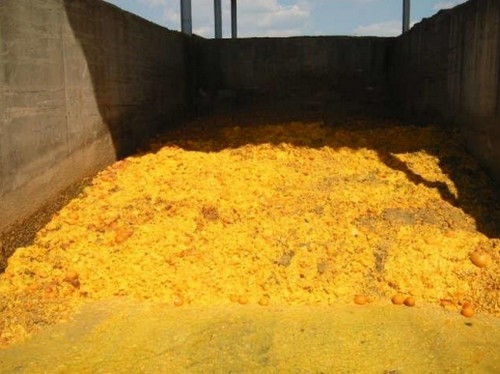 Uso de subproductos agroalimentarios en la alimentación porcina - Image 1