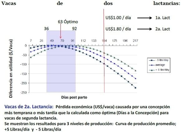 Producción eficiente de preñeces en hatos lecheros - Image 4