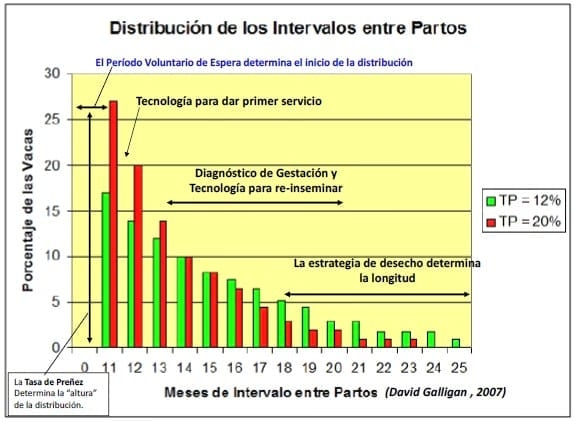 Producción eficiente de preñeces en hatos lecheros - Image 1