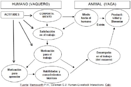 Producción eficiente de preñeces en hatos lecheros - Image 16