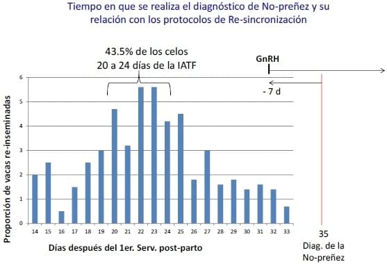 Producción eficiente de preñeces en hatos lecheros - Image 13