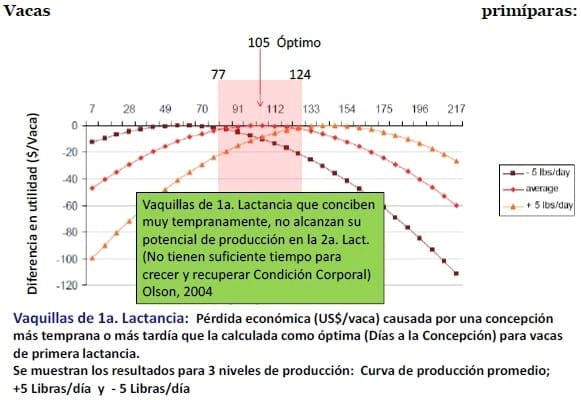 Producción eficiente de preñeces en hatos lecheros - Image 3