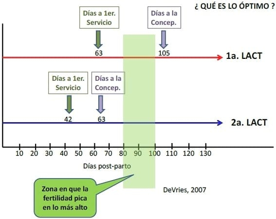 Producción eficiente de preñeces en hatos lecheros - Image 7