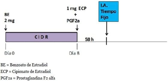 Producción eficiente de preñeces en hatos lecheros - Image 11