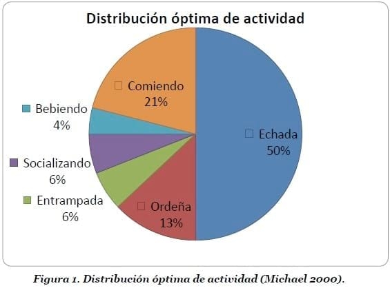Confort en el hato lechero - Image 1