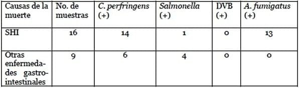 Variabilidad de la Composición del Agua y su Impacto Potencial sobre el Desempeño Animal - Image 3