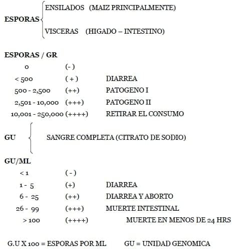 Variabilidad de la Composición del Agua y su Impacto Potencial sobre el Desempeño Animal - Image 4